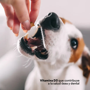 Snacks Kanu Vet  Hip an Joint para perros