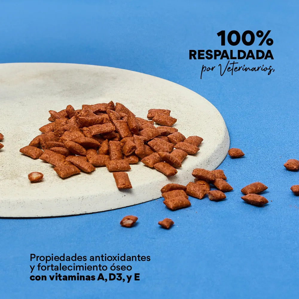 Snacks Nuggets Skin and Coat para Gatos