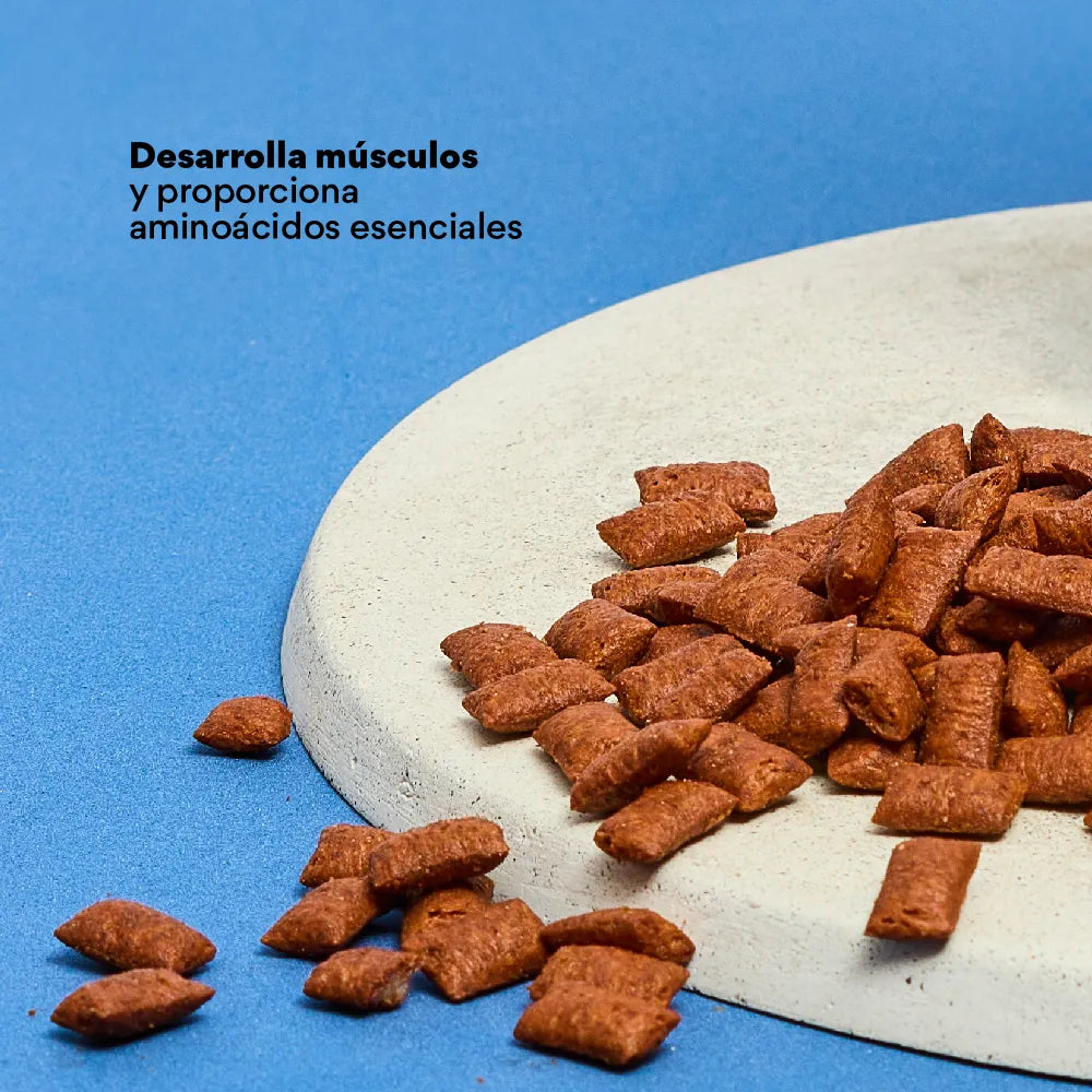 Snacks Nuggets Skin and Coat para Gatos