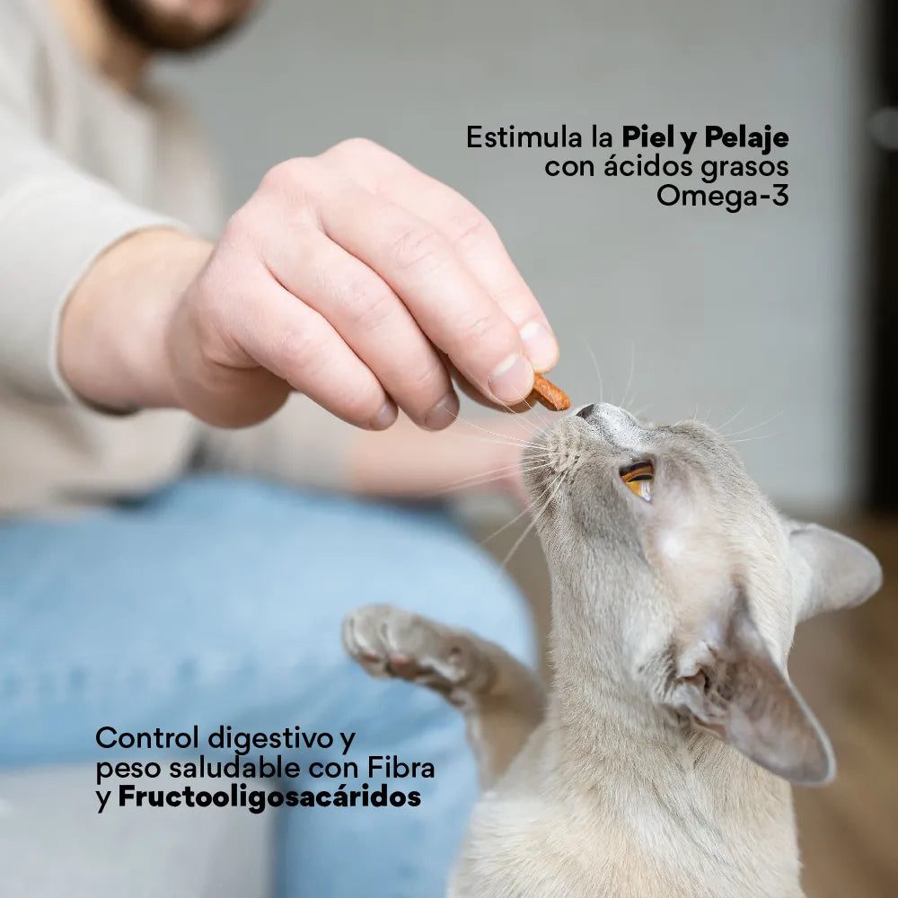 Snacks Nuggets Skin and Coat para Gatos