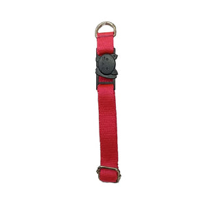 Collar para Gato Kanu Pet