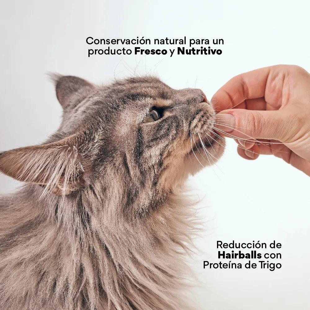 Snacks Nuggets Hair Ball Control para Gatos