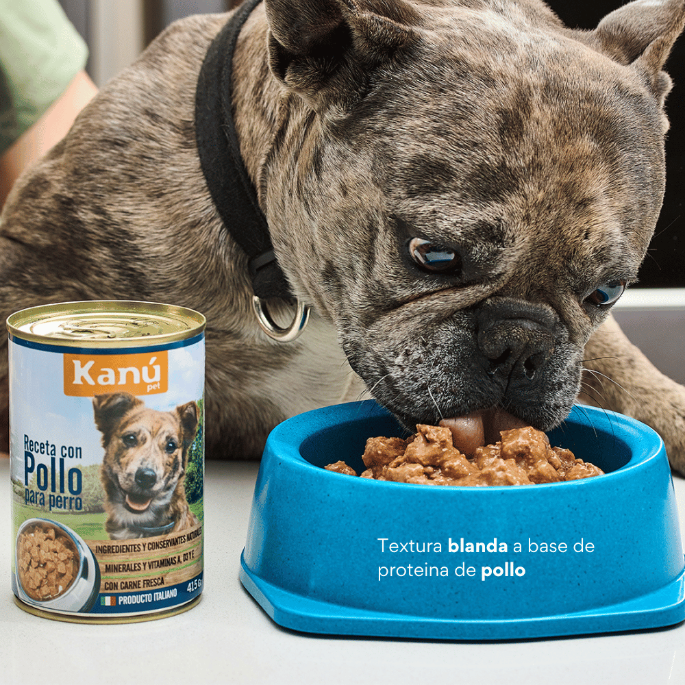Alimento Humedo de Pollo para Perro  Kanu Receta Con Pollo  415 g