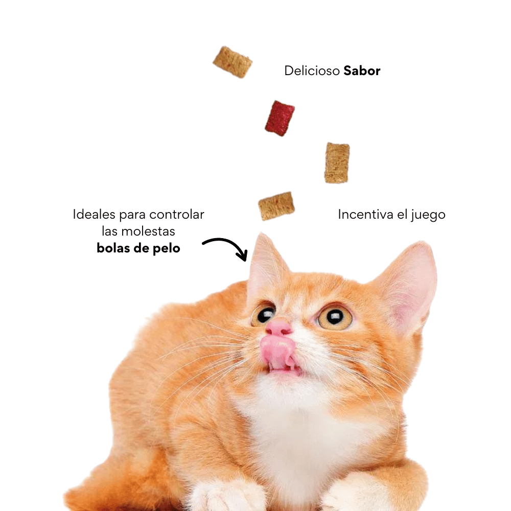 Galleta Hairball Control Kanu Pet para gatos