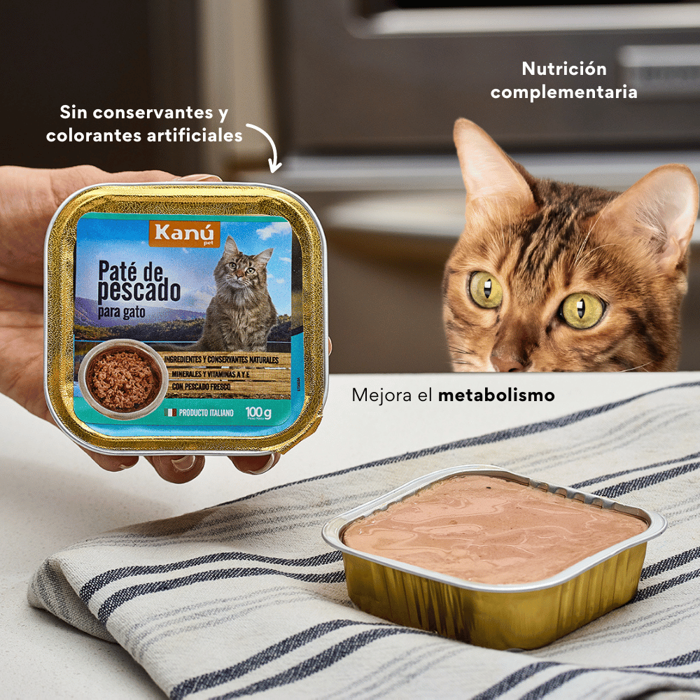 Pate de pescado Gato Kanu Pate 100 GR