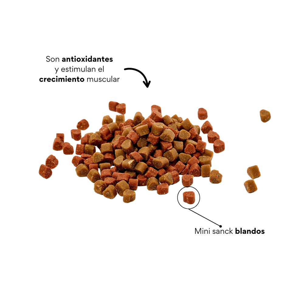 Galletas Blandas Kanu Pet Gatitos en Desarrollo y Apoyo al Crecimiento Muscular