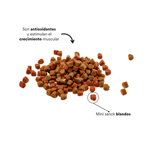 Galletas Blandas Kanu Pet Gatitos en Desarrollo y Apoyo al Crecimiento Muscular