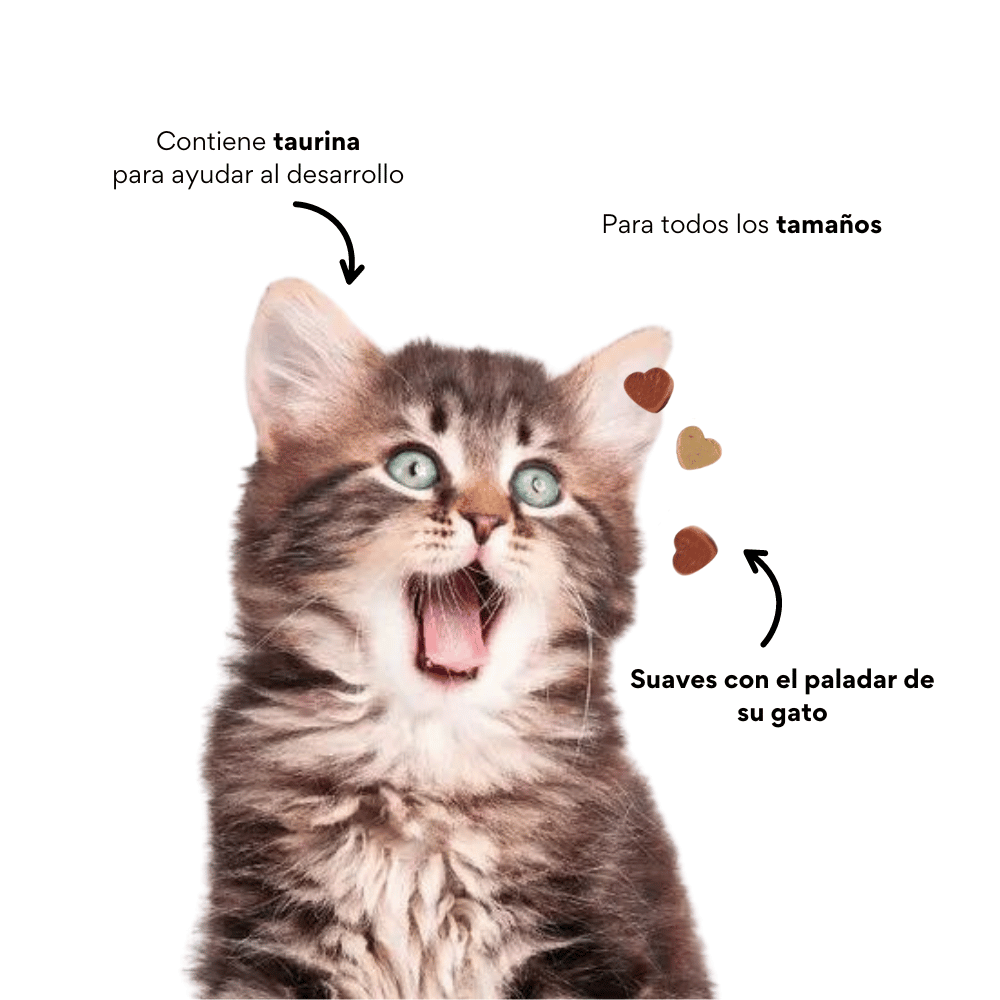 Galletas Blandas Kanu Pet Gatitos en Desarrollo y Apoyo al Crecimiento Muscular