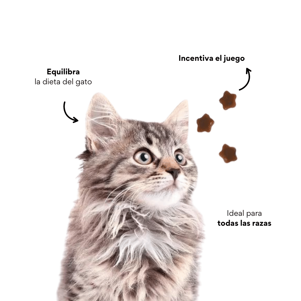 Mini Snacks Blandos Kanu Pet Gatos Cuidado Urinario Para Gato