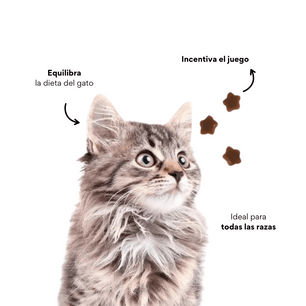 Mini Snacks Blandos Kanu Pet Gatos Cuidado Urinario Para Gato
