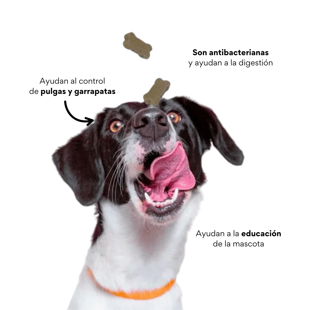 Galletas Blandas con Ajo Kanu Control Pulgas y Garrapatas Kanu Pet para Perro. 100% Naturales