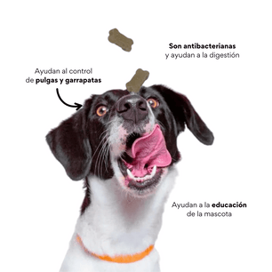 Galletas Blandas con Ajo Kanu Control Pulgas y Garrapatas Kanu Pet para Perro. 100% Naturales