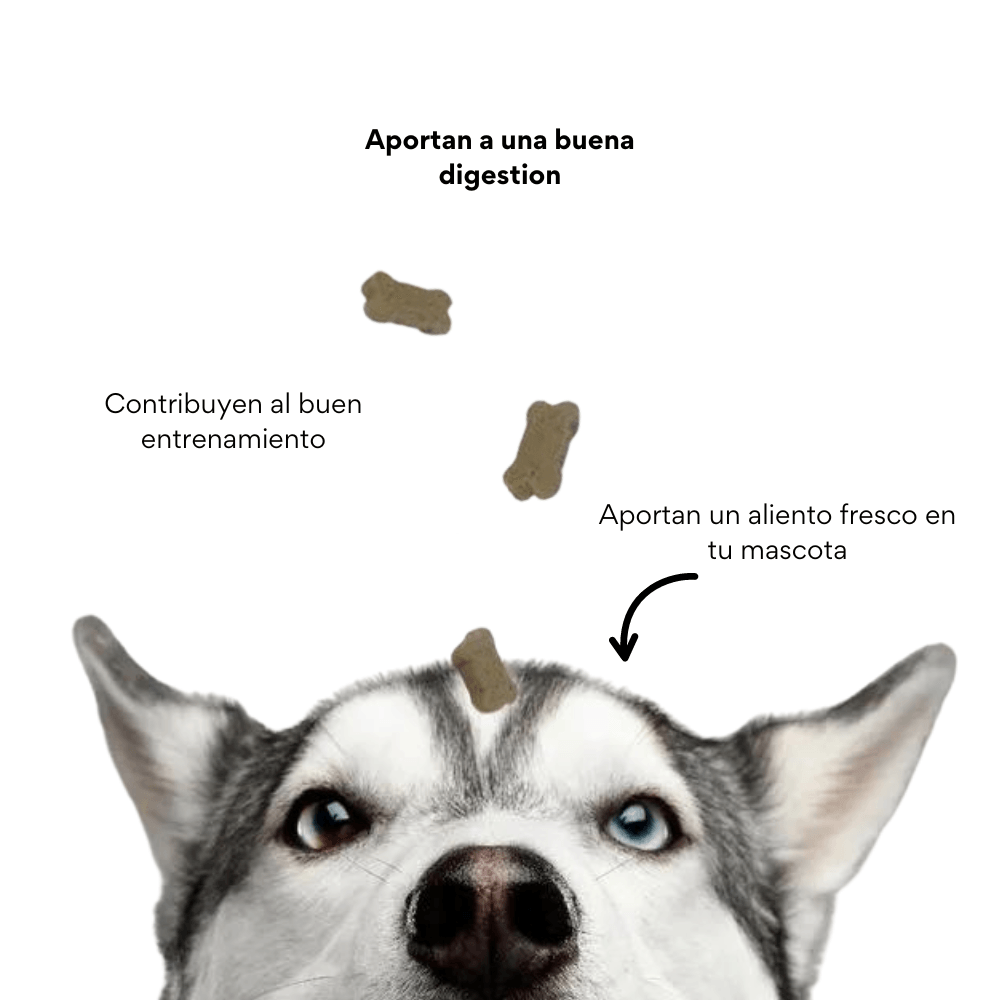 Galleta Aliento Fresco Kanu Pet para perros