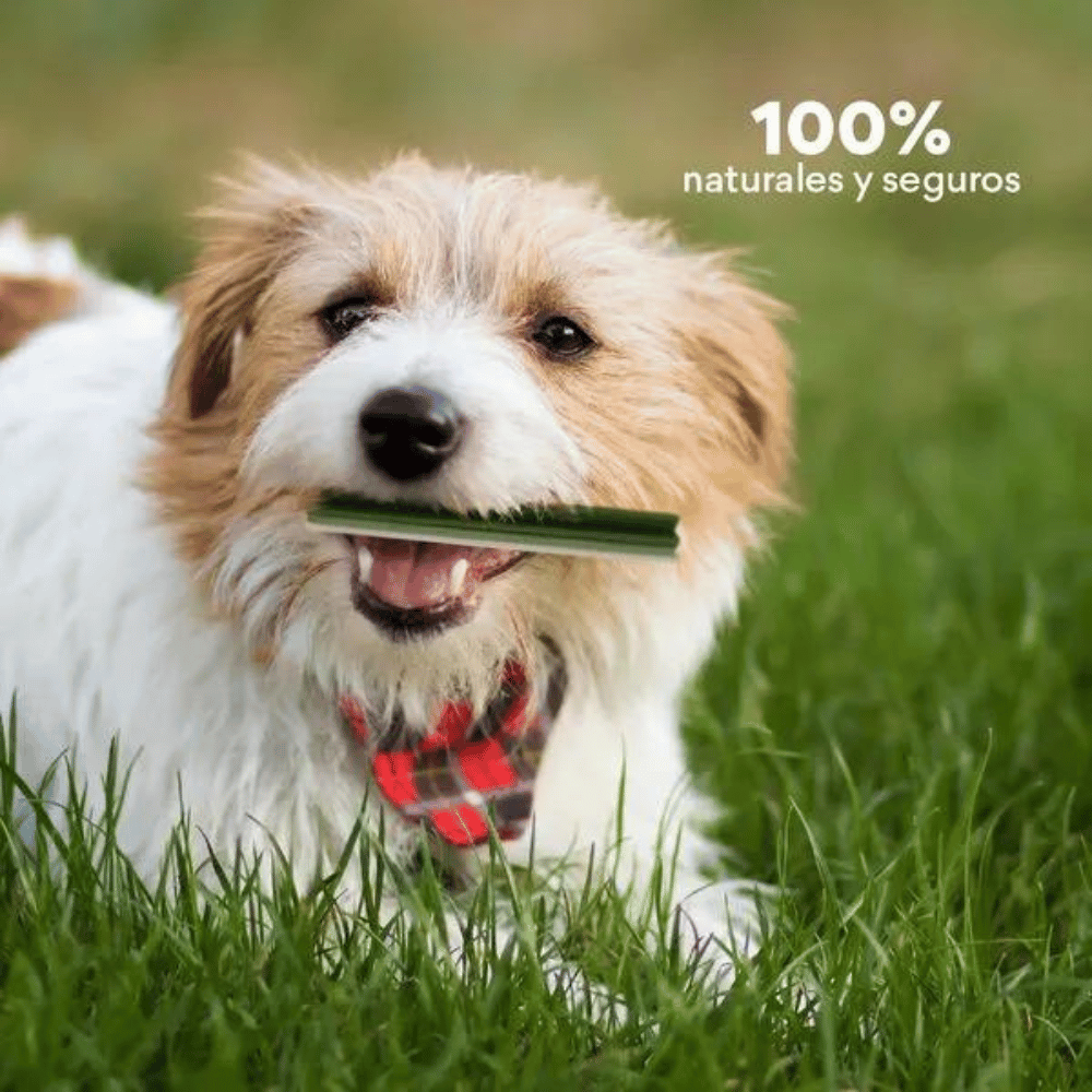 Snack  para la placa y el sarro Kanu Pet Dental Five Star para Perros  x 7 Unds