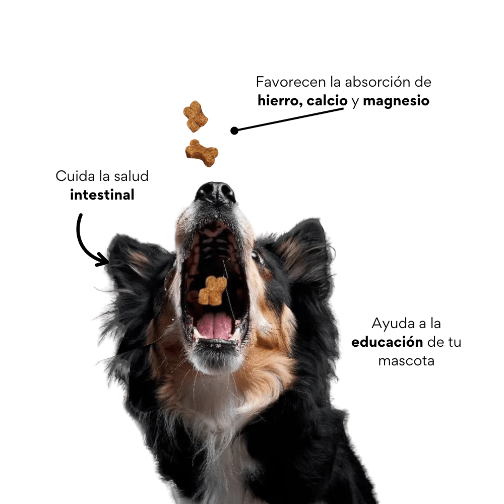 Galletas Krunchy Kanu Pet  para perros