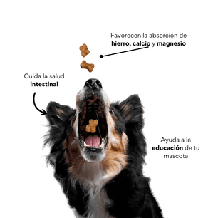 Galletas Krunchy Kanu Pet  para perros