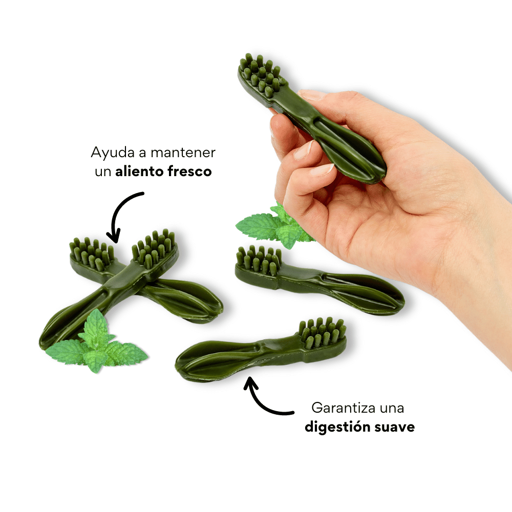 Snack Cepillo Dental Medium Kanu Pet Dental Fresh Para Perros Sabor a Menta