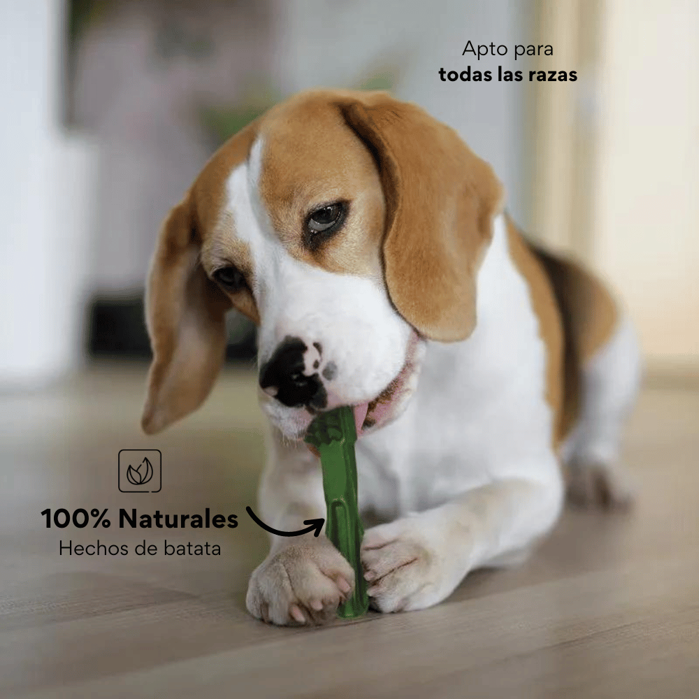 Snack Cepillo Dental Medium Kanu Pet Dental Fresh Para Perros Sabor a Menta