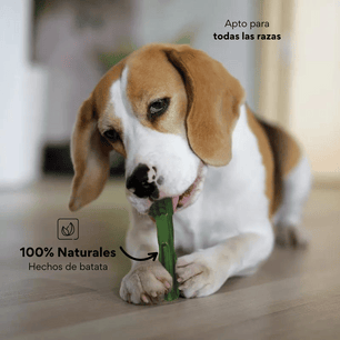 Snack Cepillo Dental Medium Kanu Pet Dental Fresh Para Perros Sabor a Menta