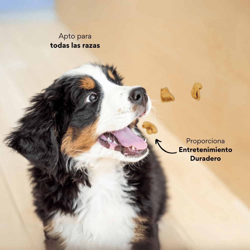 Snack Kanu Pet Chicharrón de Cerdo para Perros, Un Solo ingrediente 100% natural