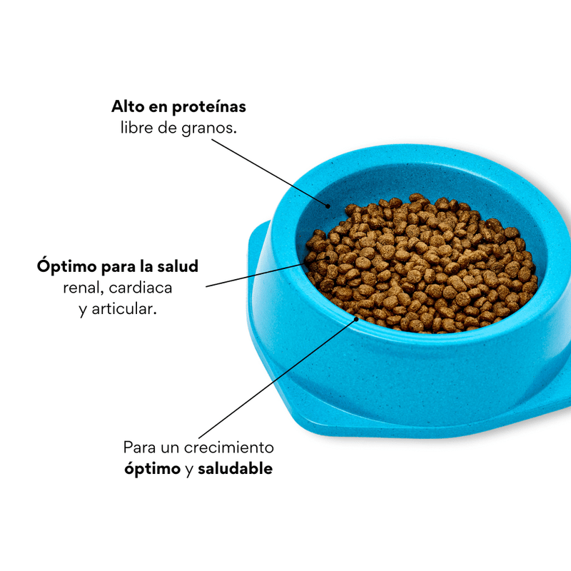 Alimento Para Gato - Kanu Nativo Mantenimiento Gatitos 1 LB