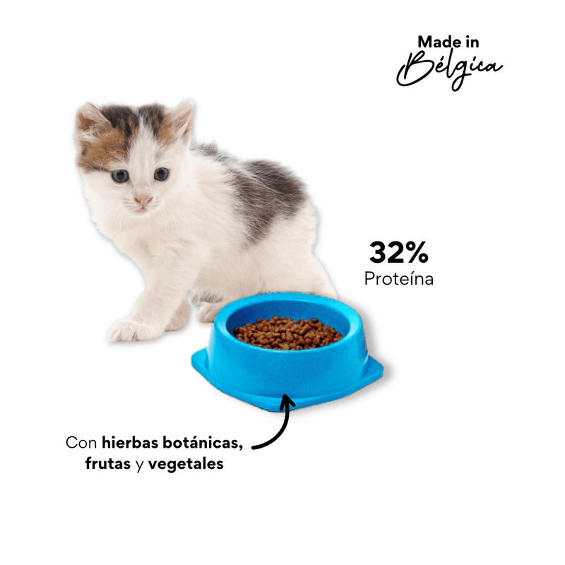 Alimento Para Gato - Kanu Nativo Mantenimiento Gatitos 1 LB