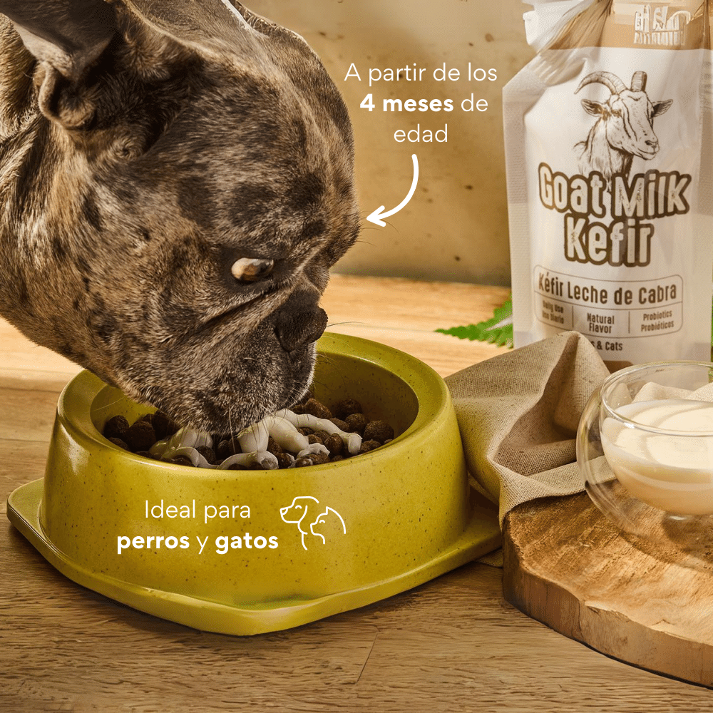 Suplemento Kéfir de Leche de Cabra Kanu Pet para Perro y Gato Sabor 100% Natural