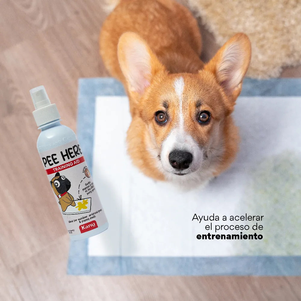 Spray de Adiestramiento  Pee Here  de Kanu Pet para perros y gatos 100% Natural