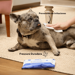 Pañitos Húmedos con Clorhexidina Kanu Vet para Perros y Gatos