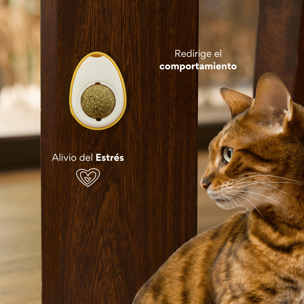 Kanu Pet Rasca Lenguas Huevo Con Catnip Para Gatos