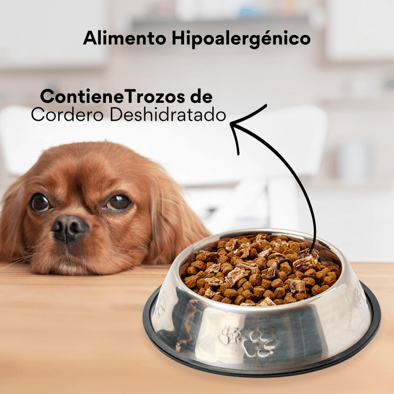 Alimento seco Nativo Bites Cordero Kanu Pet para cachorros