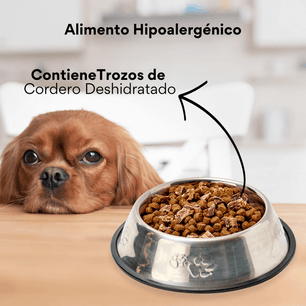 Alimento seco Nativo Bites Cordero Kanu Pet para cachorros