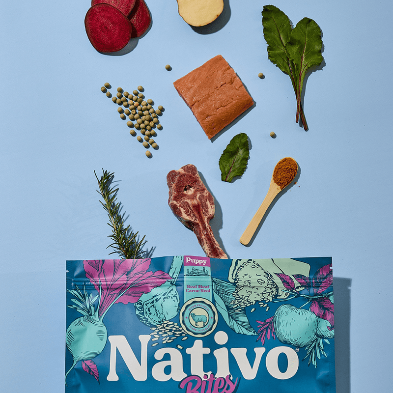 Alimento seco Nativo Bites Cordero Kanu Pet para cachorros