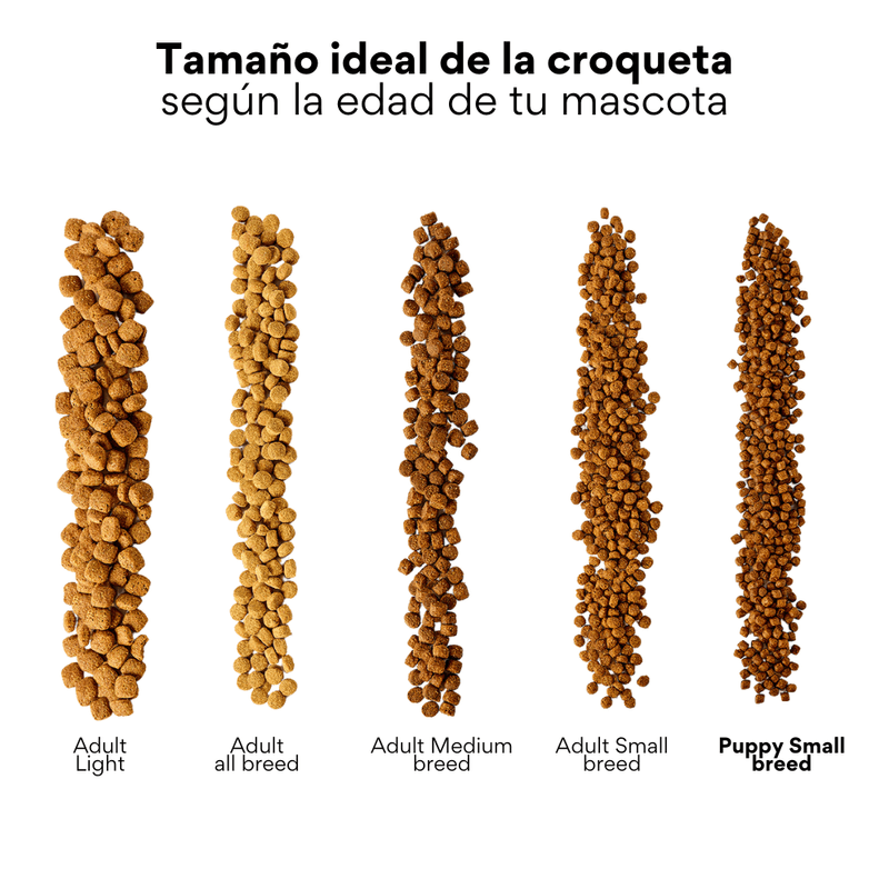 Alimento seco Nativo Bites Cordero Kanu Pet para cachorros