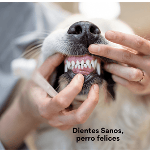 Cepillo de Dientes Ecológico  Kanu Pet para Perros x 1 und