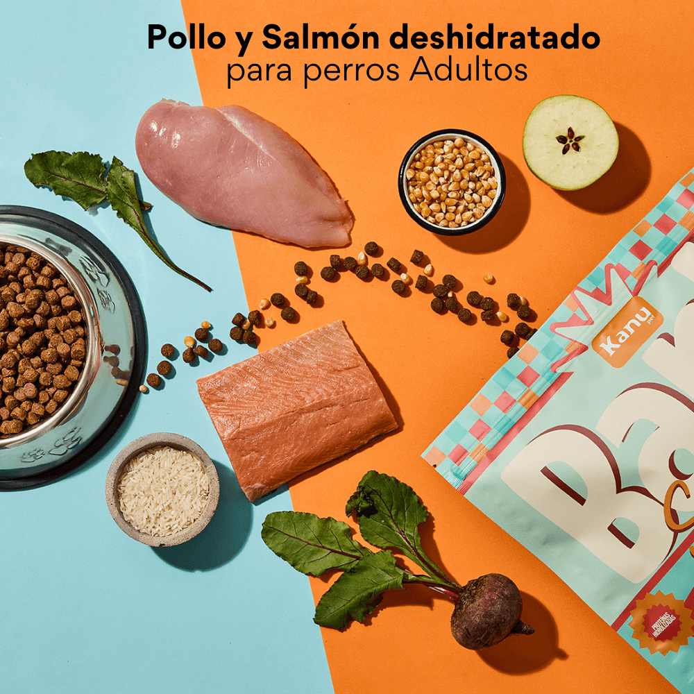 Alimento seco Kanu Pet Bark Senior para perro adulto mayor sabor a Pollo y Salmón