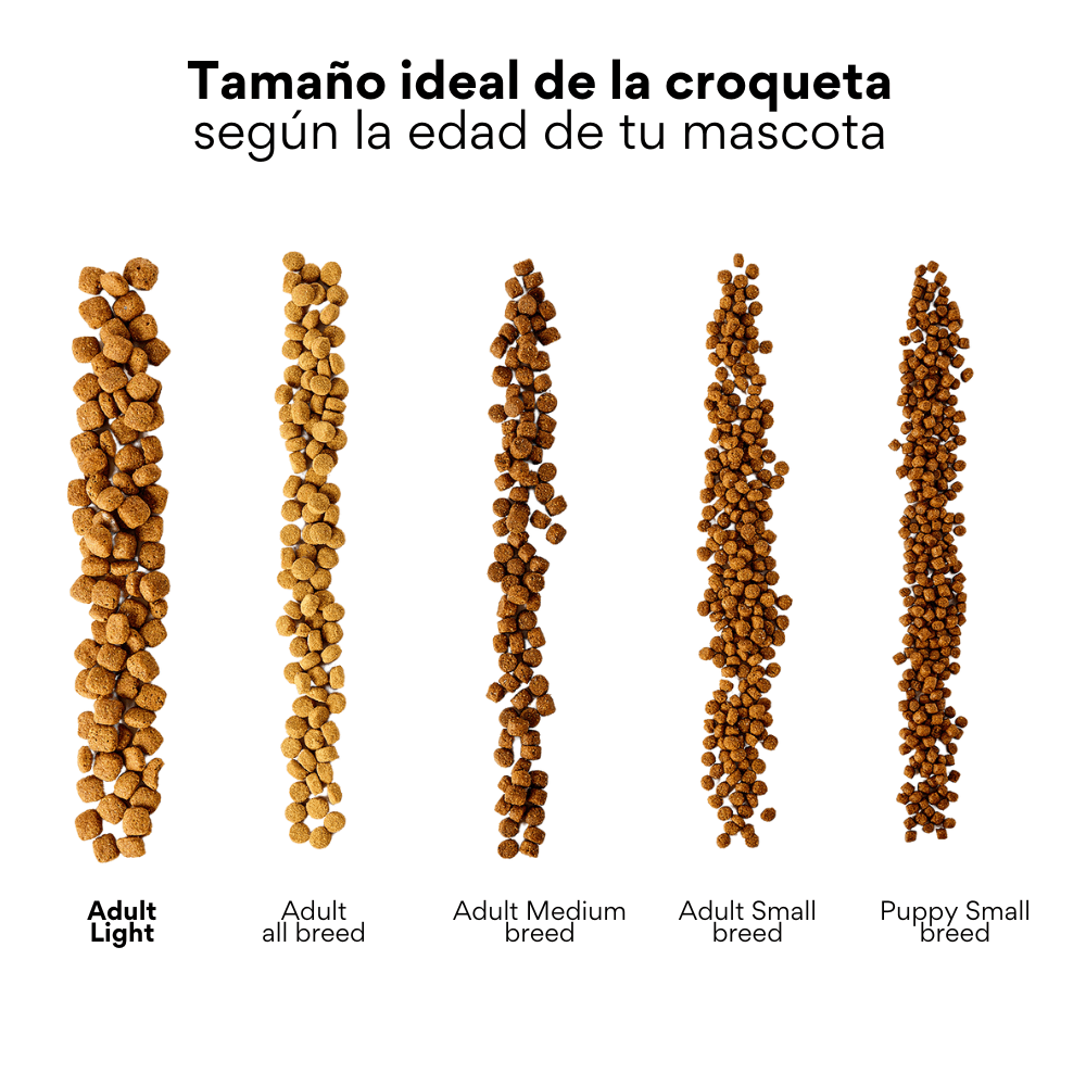 Alimento seco Kanu Pet Bark Senior para perro adulto mayor sabor a Pollo y Salmón