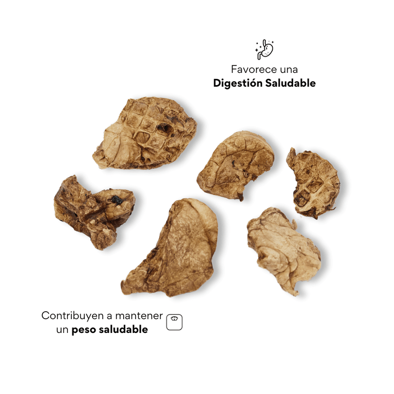Snack Pulmón de Cerdo  Deshidratado Kanu Pet  para Perros en Frasco, Un Solo ingrediente 100% natural