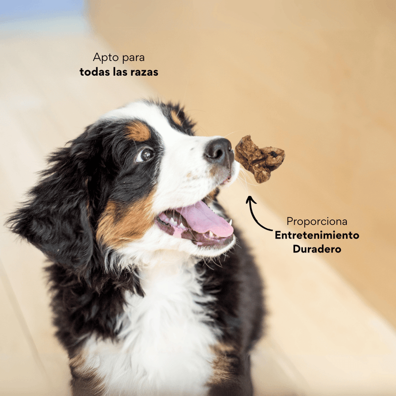 Snack Pulmón de Cerdo  Deshidratado Kanu Pet  para Perros en Frasco, Un Solo ingrediente 100% natural