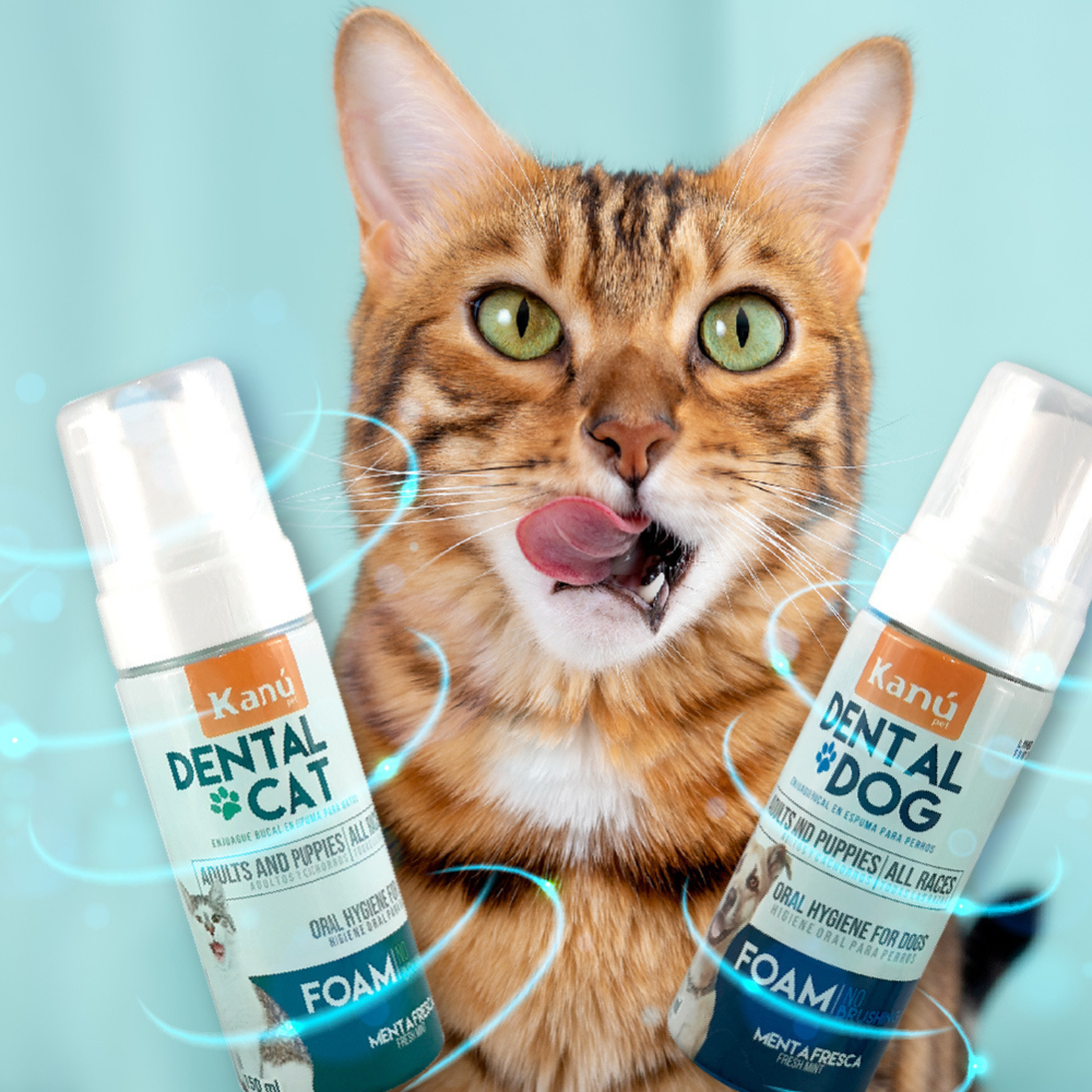 Enjuague Bucal Kanu en Espuma Menta para Gato 150 ml
