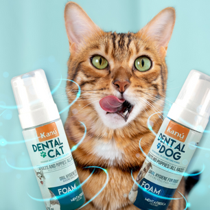 Enjuague Bucal Kanu en Espuma Menta para Gato 150 ml
