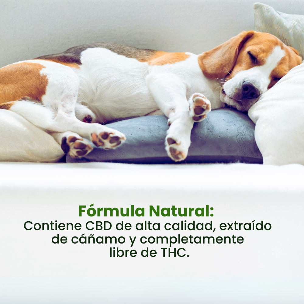 Spray Relajante de CBD Good Vibes Kanu Pet para perro y gatos