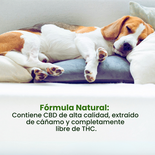 Spray Relajante de CBD Good Vibes Kanu Pet para perro y gatos