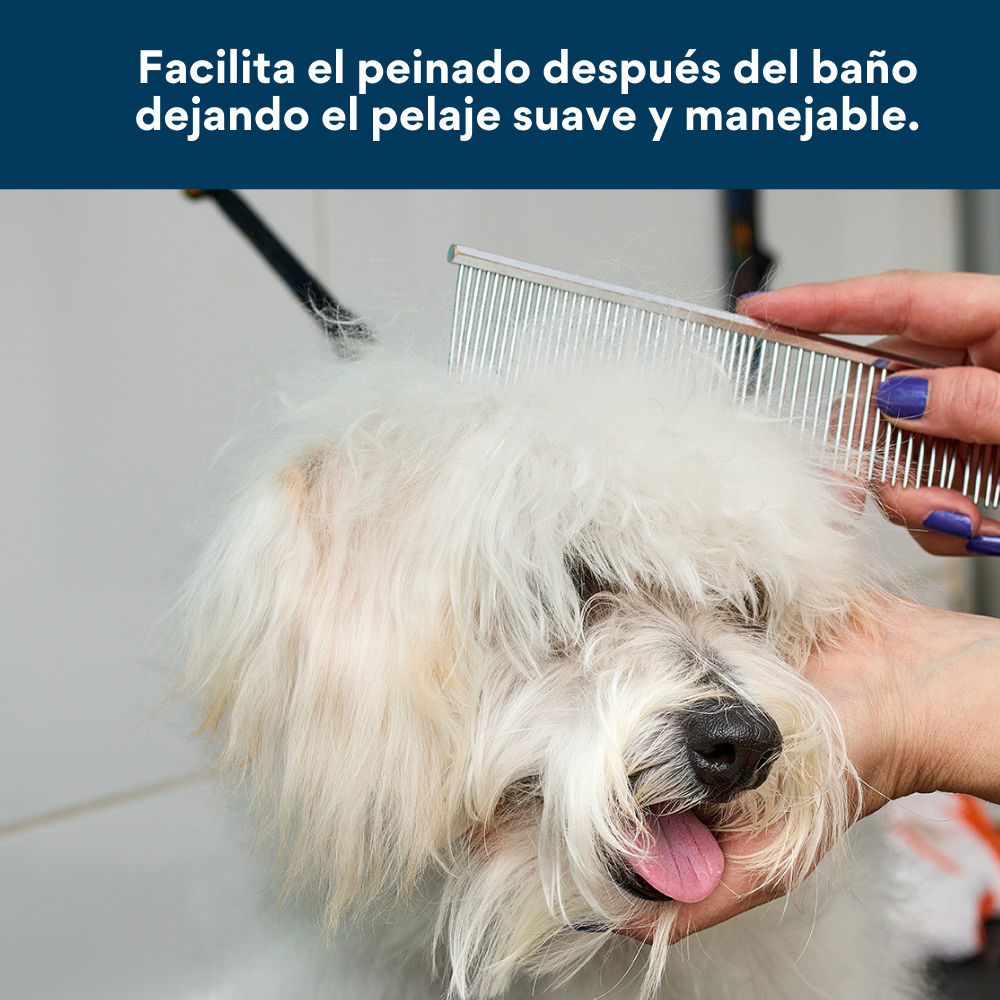 Shampoo con Agradable Fragancia Kanu Pet para Perro 240 ML