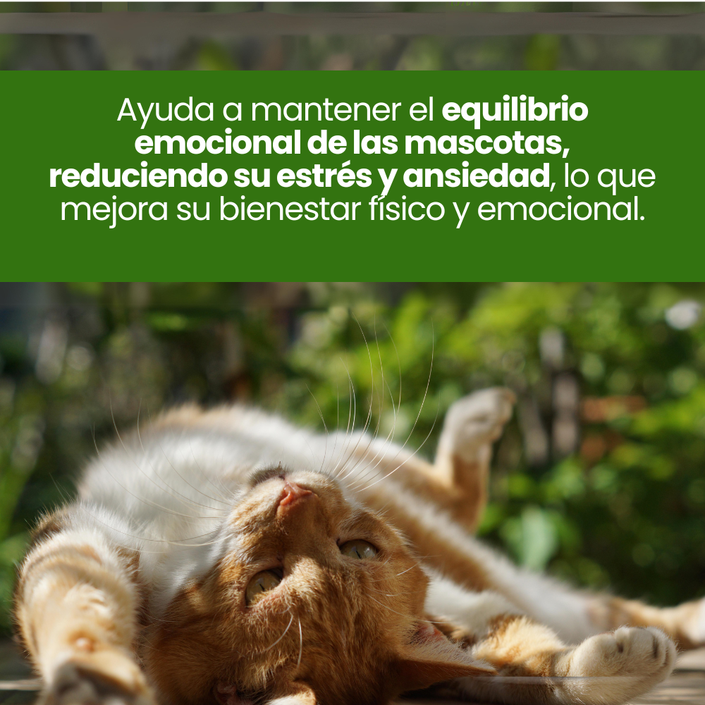 Spray Relajante de CBD Good Vibes Kanu Pet para perro y gatos
