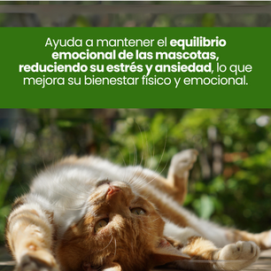Spray Relajante de CBD Good Vibes Kanu Pet para perro y gatos