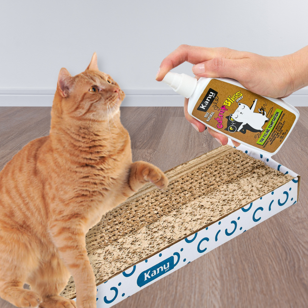 Spray de Hierba Gatuna Kanu Pet Catnip Bliss para Gatos