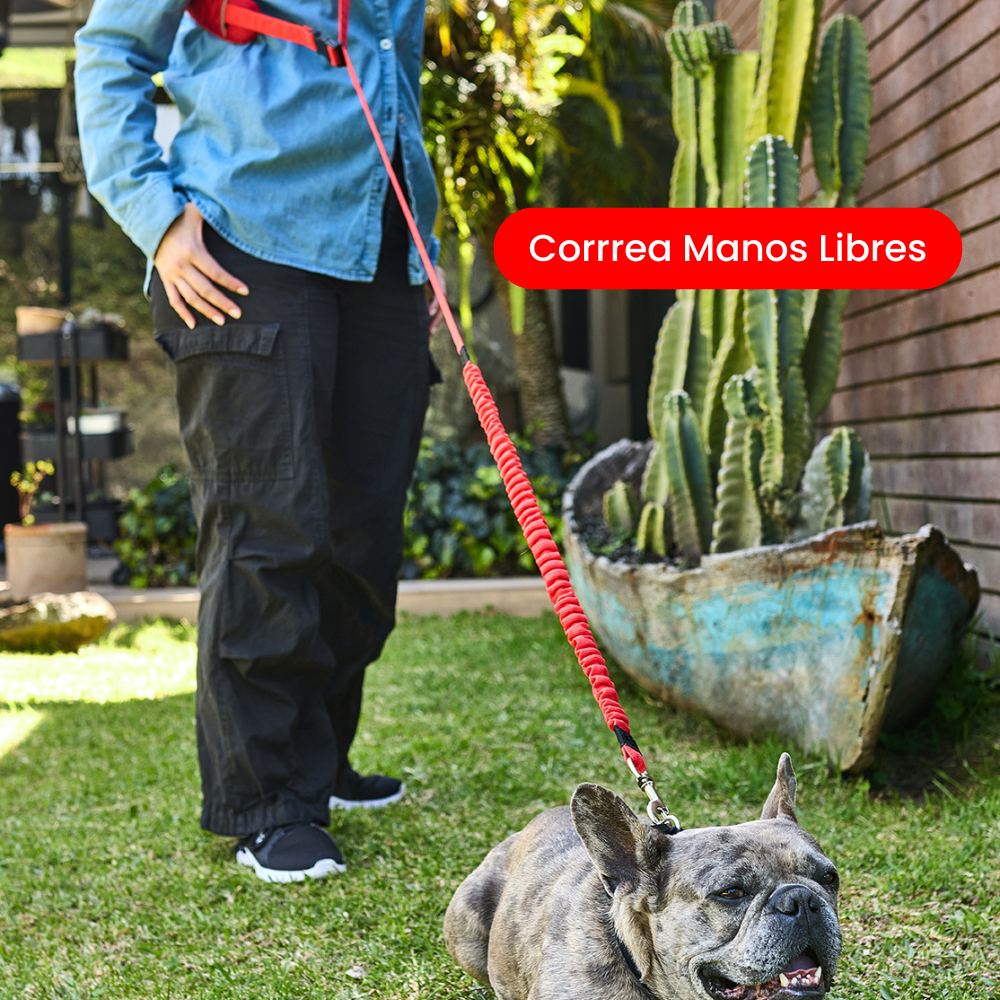 Correa Manos Libres Antitirones con Resorte de Kanu Pet para perros