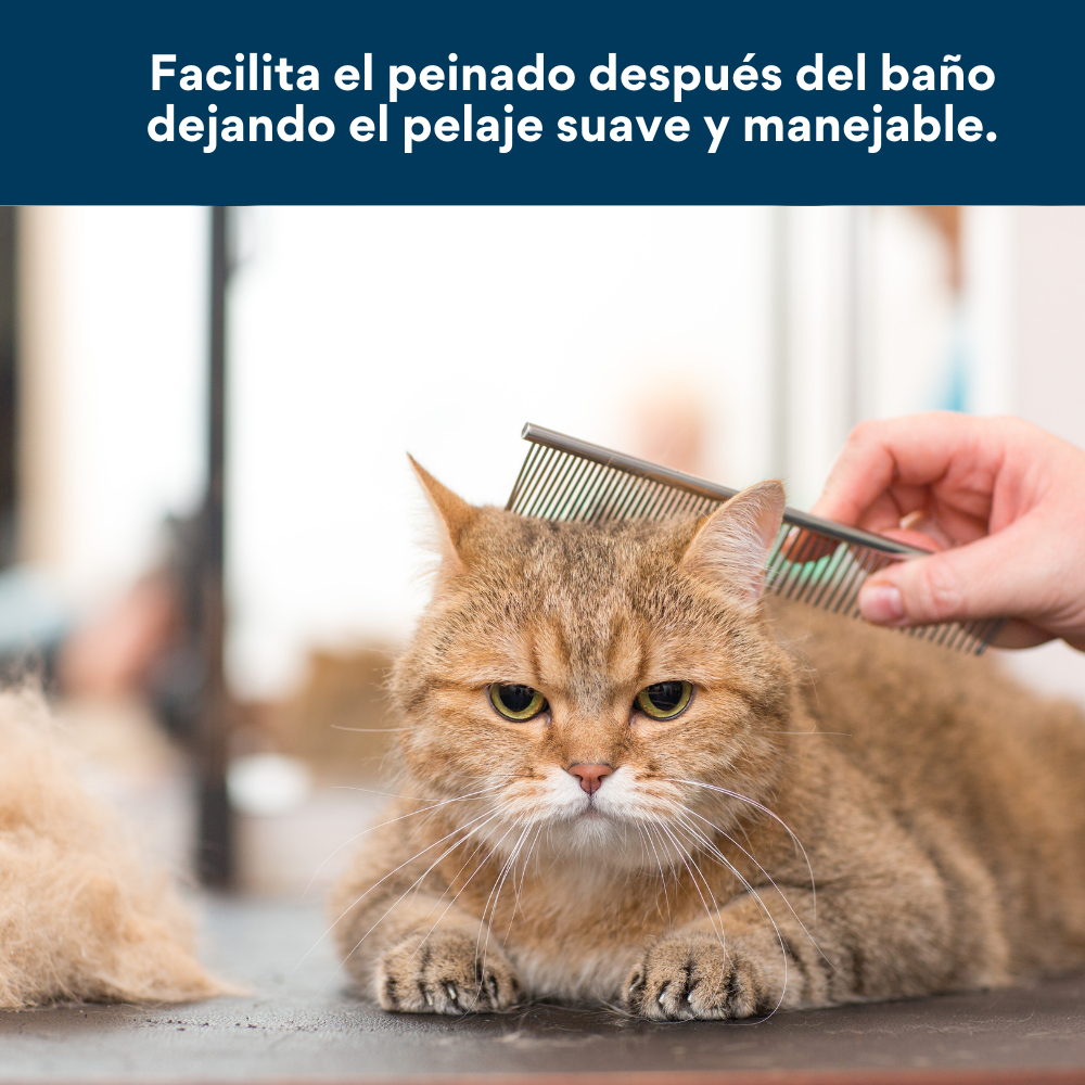 Shampoo con agradeble Fragancia Kanu para Gato 240 ML