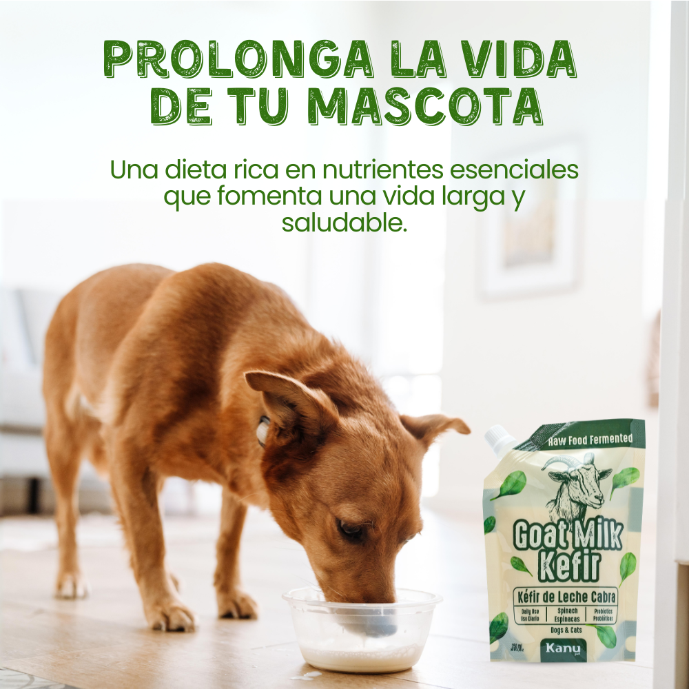 Suplemento Kéfir de Leche de Cabra Kanu Pet para Perro y Gato Espinaca 100% Natural